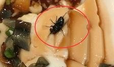 皮蛋爆料官最新视频在线观看,精彩瞬间不容错过！